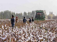 整個歐洲制裁我國棉花，我國紡織業(yè)卻毫無波動！這一優(yōu)勢得天獨厚