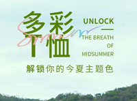 愛登堡多彩T恤，解鎖你的今夏主題色