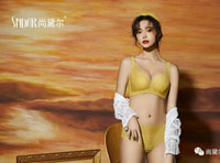 加盟尚黛爾內衣，共創美好未來