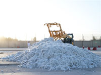 新疆長絨棉供不應求，“大博弈”后沖出一匹新黑馬