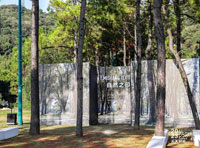 時尚與生態融合 米尚秋冬大秀煥動自然之趣 | 2023柯橋天天時尚璀璨收官