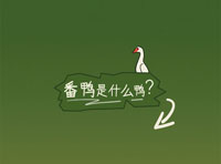 森馬兒童：一只番鴨的溫暖使命