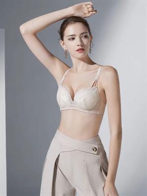 歐迪芬內(nèi)衣新品