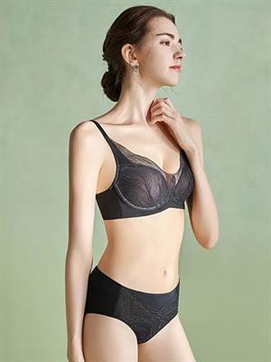 歐迪芬內(nèi)衣新品