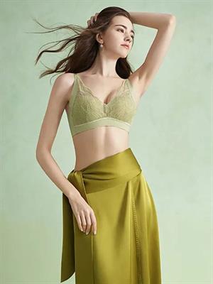 歐迪芬內(nèi)衣新品