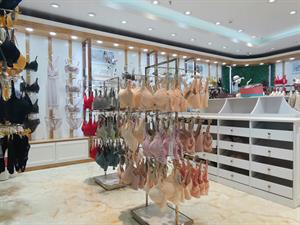 梵狄芬內衣店鋪圖