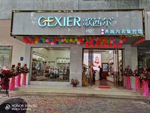歌茜爾內(nèi)衣店鋪圖