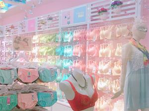 玫瑰春天內(nèi)衣店鋪圖