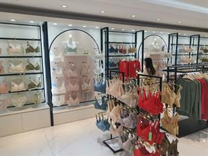 芭妮雅內衣店鋪圖