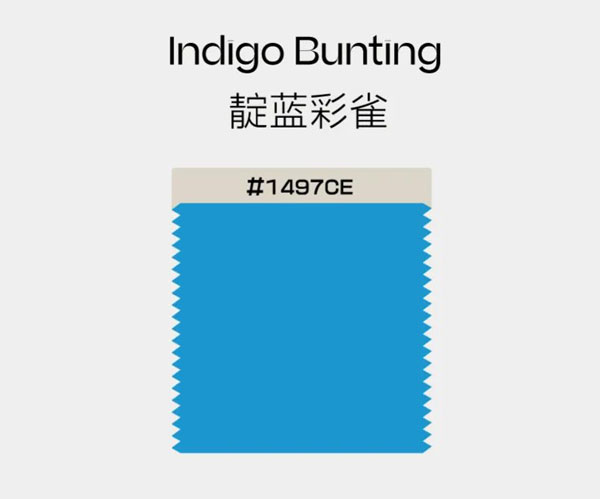 畢厶迦BSIJA男裝