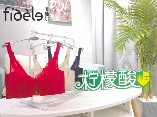 菲黛爾內衣