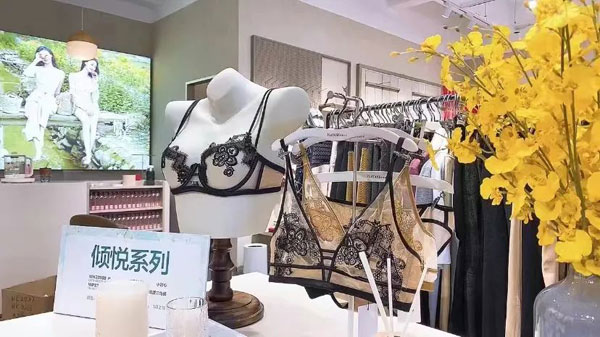 梧桐本色2023新品發布會