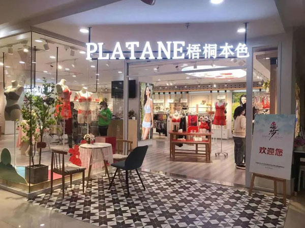 梧桐本色2023新品發布會