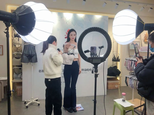 梧桐本色2023新品發布會