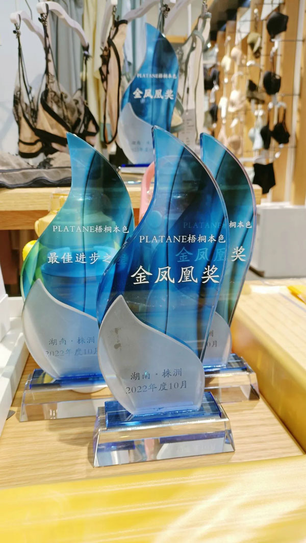 梧桐本色2023新品發布會