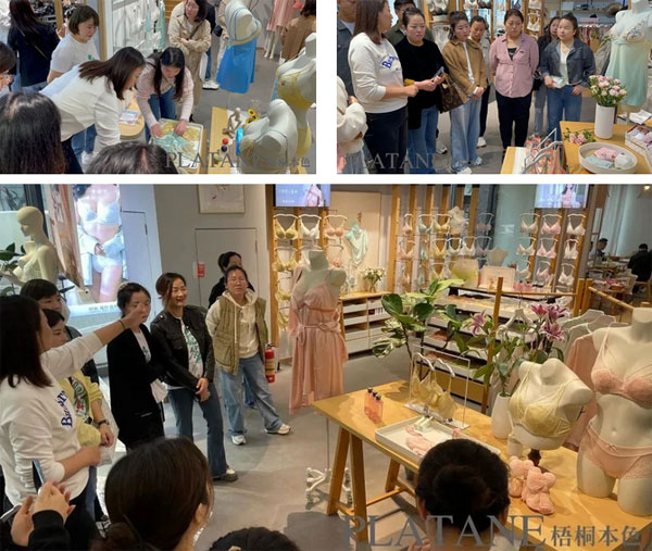 梧桐本色2023秋冬新品發布會圓滿成功